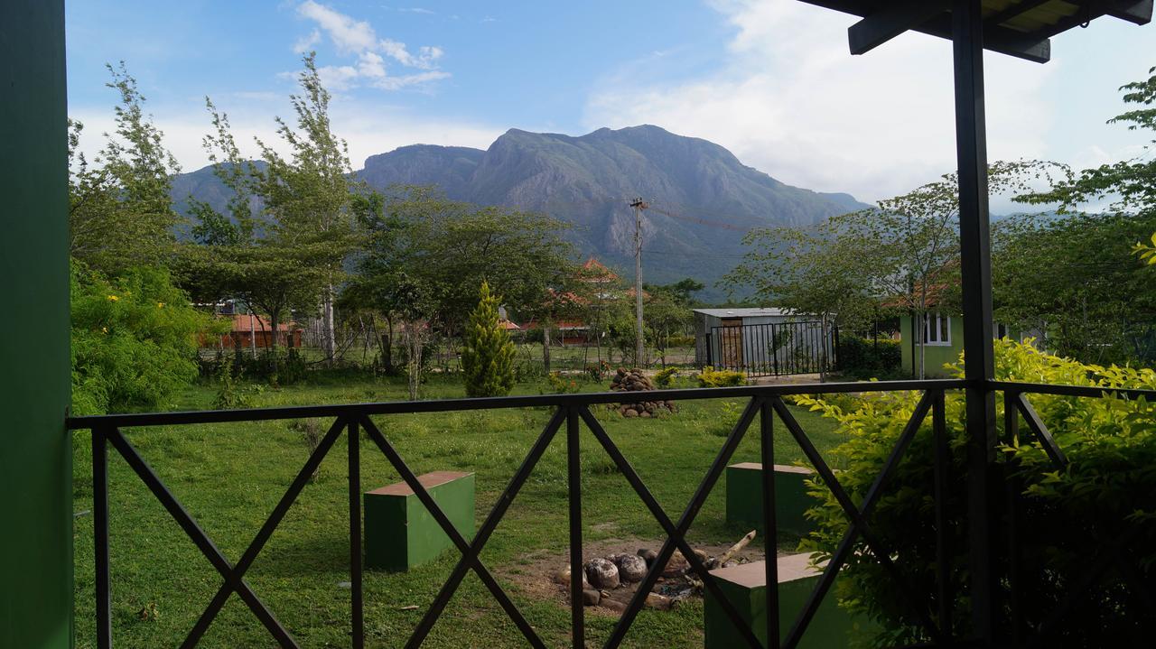 Mountain View Hotel Masinagudi Buitenkant foto
