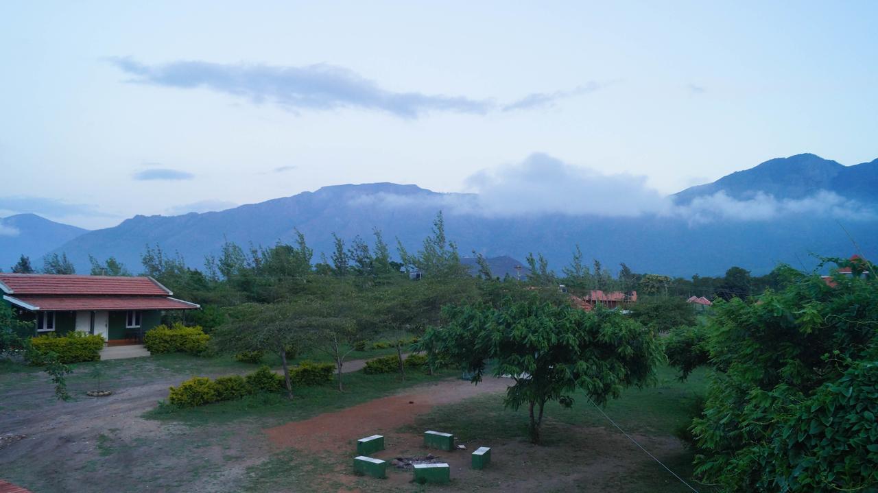Mountain View Hotel Masinagudi Buitenkant foto