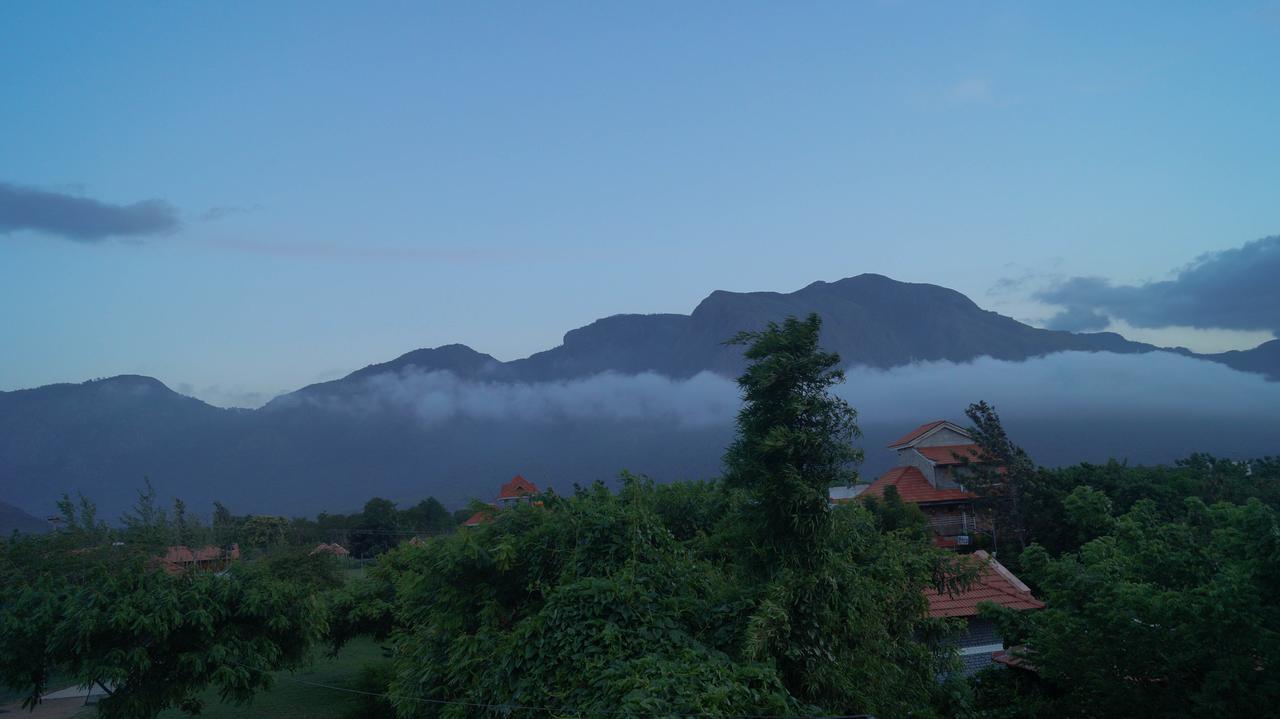 Mountain View Hotel Masinagudi Buitenkant foto