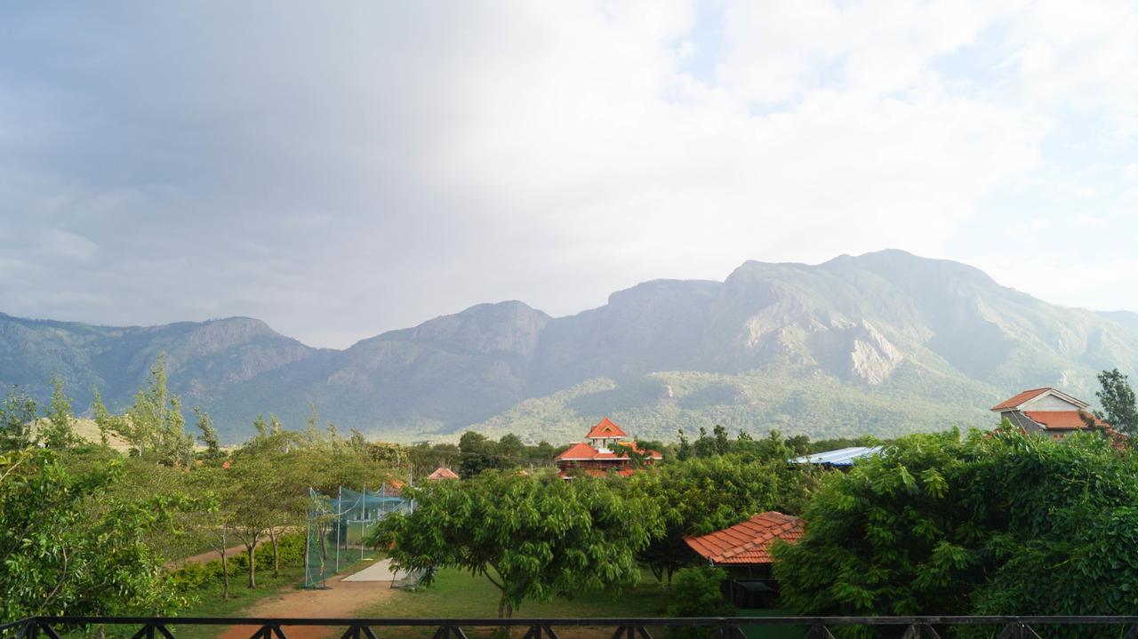Mountain View Hotel Masinagudi Buitenkant foto